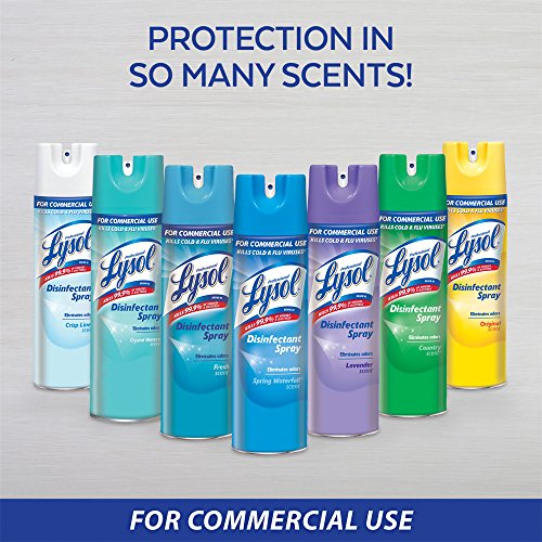 Lysol Professional Disinfectant Spray, Spring Waterfall, 19oz (Pack of 12)