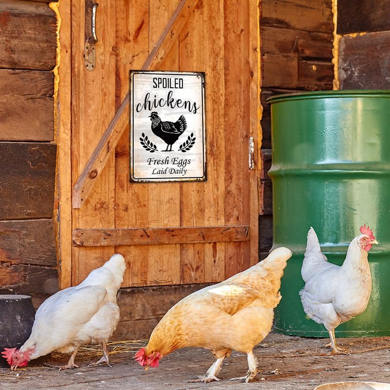 Funny Chicken Coop Metal Sign Fresh Eggs Laid Daily 8x12 Inch Rustic Decor