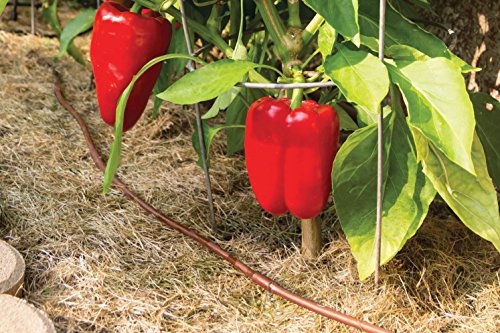 Rain Bird 1/4" Drip Emitter Tubing, 50' Roll, Pressure Compensating