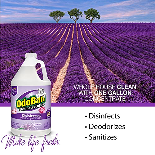 OdoBan Disinfectant Concentrate and Odor Eliminator, Lavender, 1 Gallon