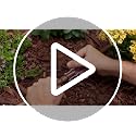 Rain Bird 1/4" Drip Irrigation Stakes with Bug Cap - 10-Pack