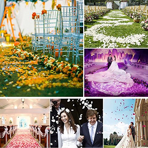1000pcs Artificial Silk Rose Petals for Weddings & Events