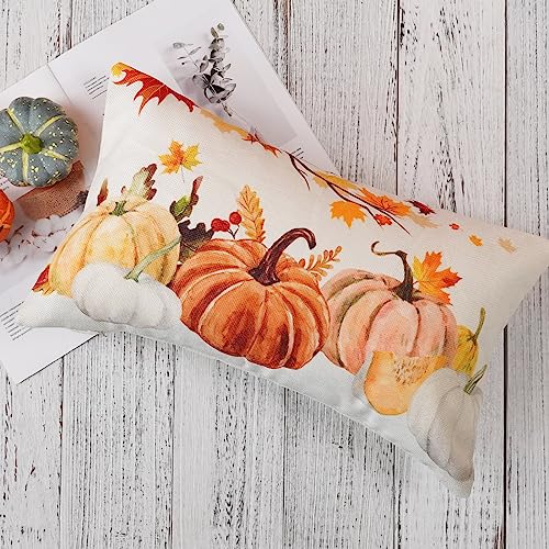 ONWAY Fall Pumpkin Throw Pillow Covers, 12x20 Inch Set of 2, Orange