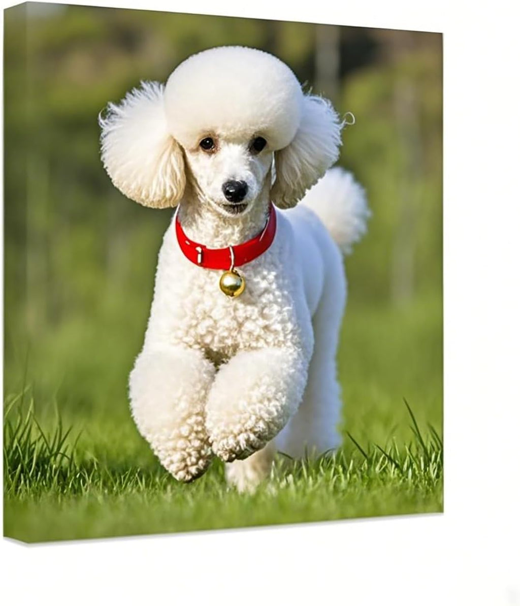 Personalized Canvas Print by [Brand Name] - Custom Photo Wall Art for Bedroom & Living Room | 24" W x 36" H