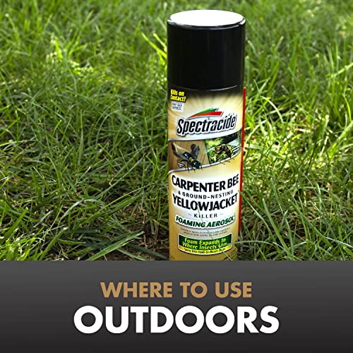 Spectracide Carpenter Bee & Yellowjacket Killer Foaming Aerosol - 16 Oz, 12 Pack