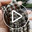 Dalmatian Spot Jasper Bead Kit - 15-Inch, 6mm Round Beads for Jewelry Making