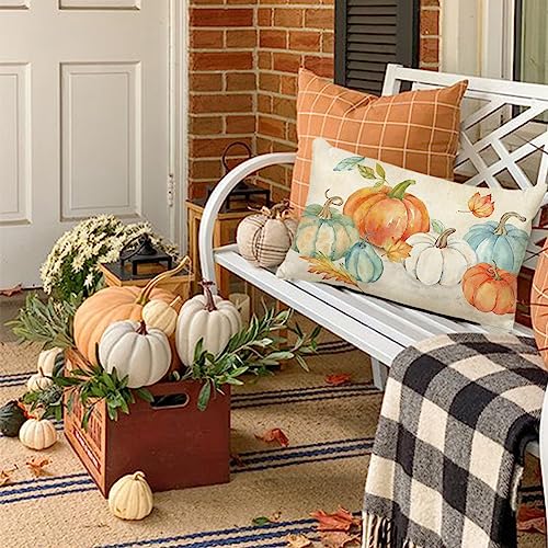 RABUSOFA Fall Pumpkin Pillow Cover, 12x20 Inch Autumn Thanksgiving Decor