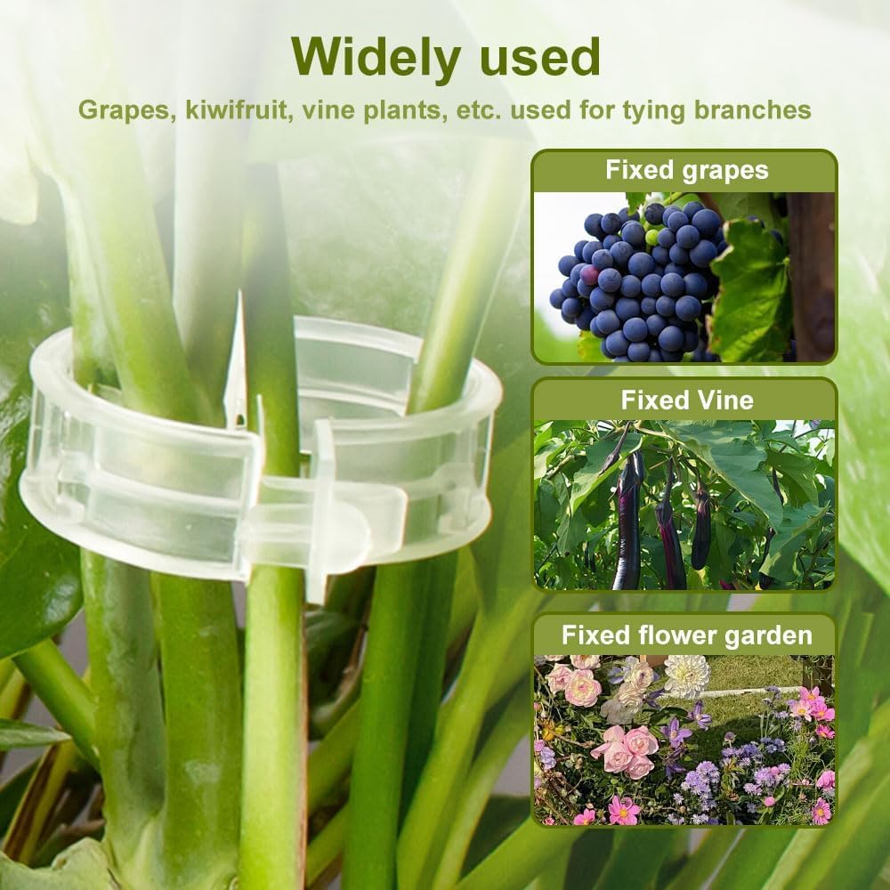 Skiennix Plant Support Clips - Reusable Green Clips for Tomato & Climbing Plants | 50 Pack