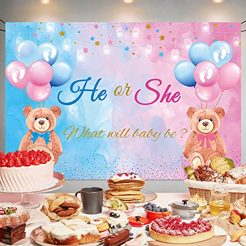 He or She Gender Reveal Bear Backdrop Banner - 70.8" x 47.2"
