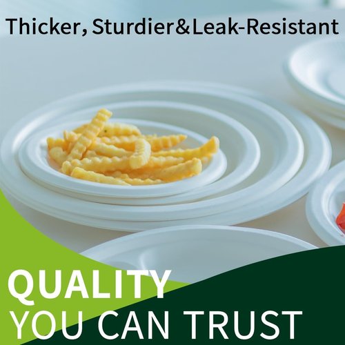 Compostable Paper Plates by Eco-Friendly | 9 Inch, 150 Pack, Sturdy & Biodegradable Dinnerware for Parties & Picnics
