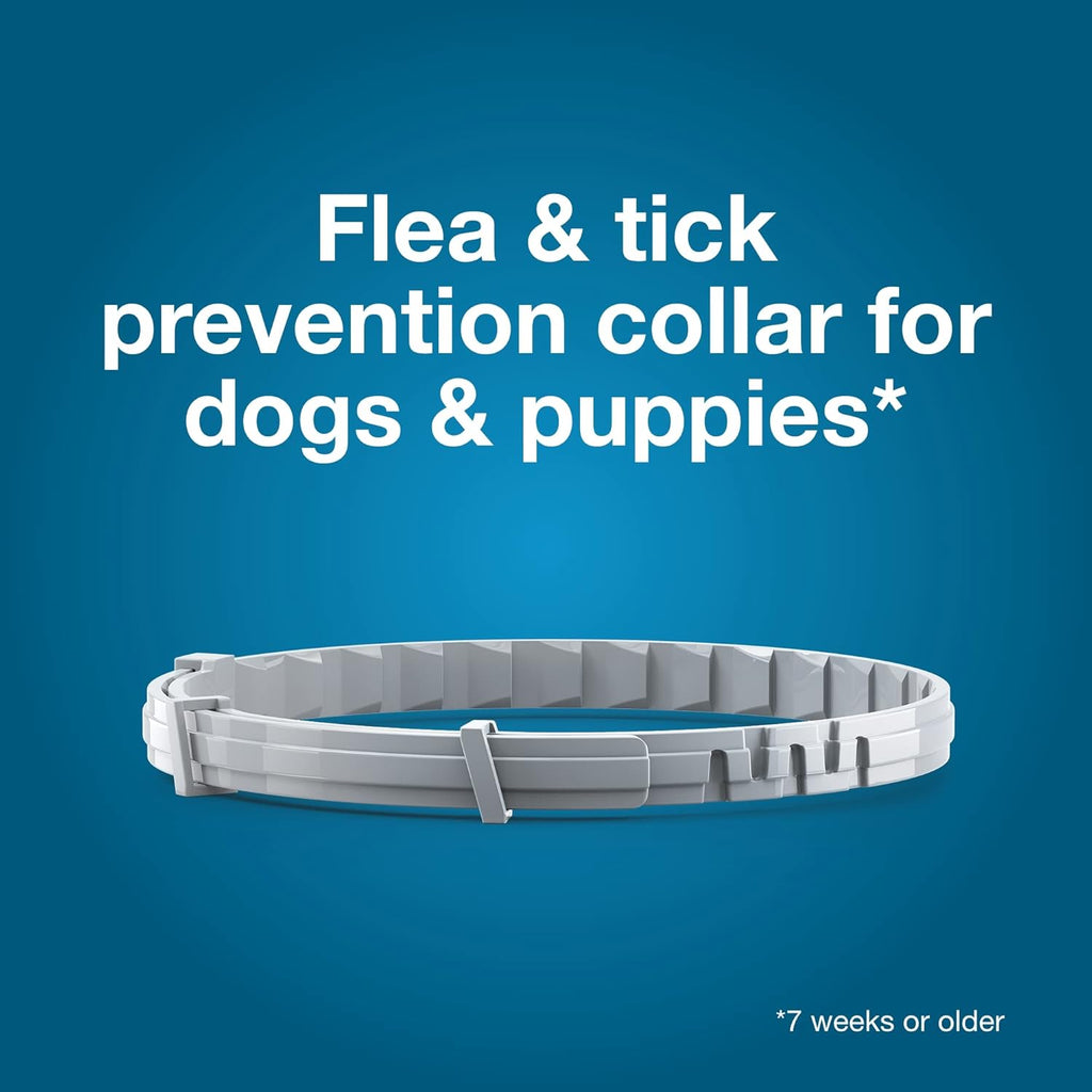 Seresto Flea & Tick Collar for Dogs Over 18 lbs - Vet-Recommended Treatment & 8 Month Protection