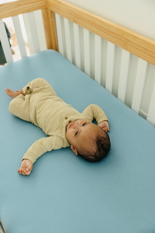 Premium Fitted Knit Crib Sheet/Toddler Sheet Robin by Copper Pearl, CP-CRSH-0128-NSZ