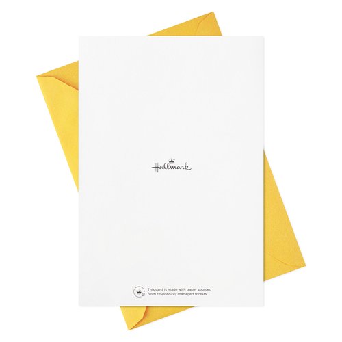 Hallmark Thank You Cards Assortment, Every Shade of Grateful (16 Thank You Notes with Envelopes) for Teacher Appreciation, Caregivers, Graduation
