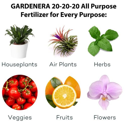 GARDENERA Premium 20-20-20 All-Purpose Water-Soluble Fertilizer - Boosts Growth & Leaf Color - 1 Quart