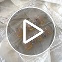 12pcs Clear Press-On Nail Storage Box Set with Adhesive Tape Organizer