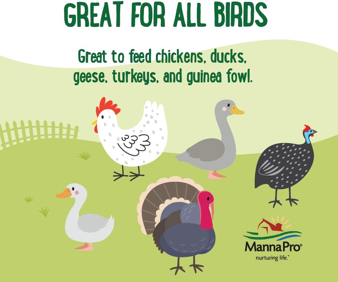 Manna Pro Beetle Bliss Poultry Treat - All-Natural Mealworm & Beetle Blend - 25oz, 45% Protein