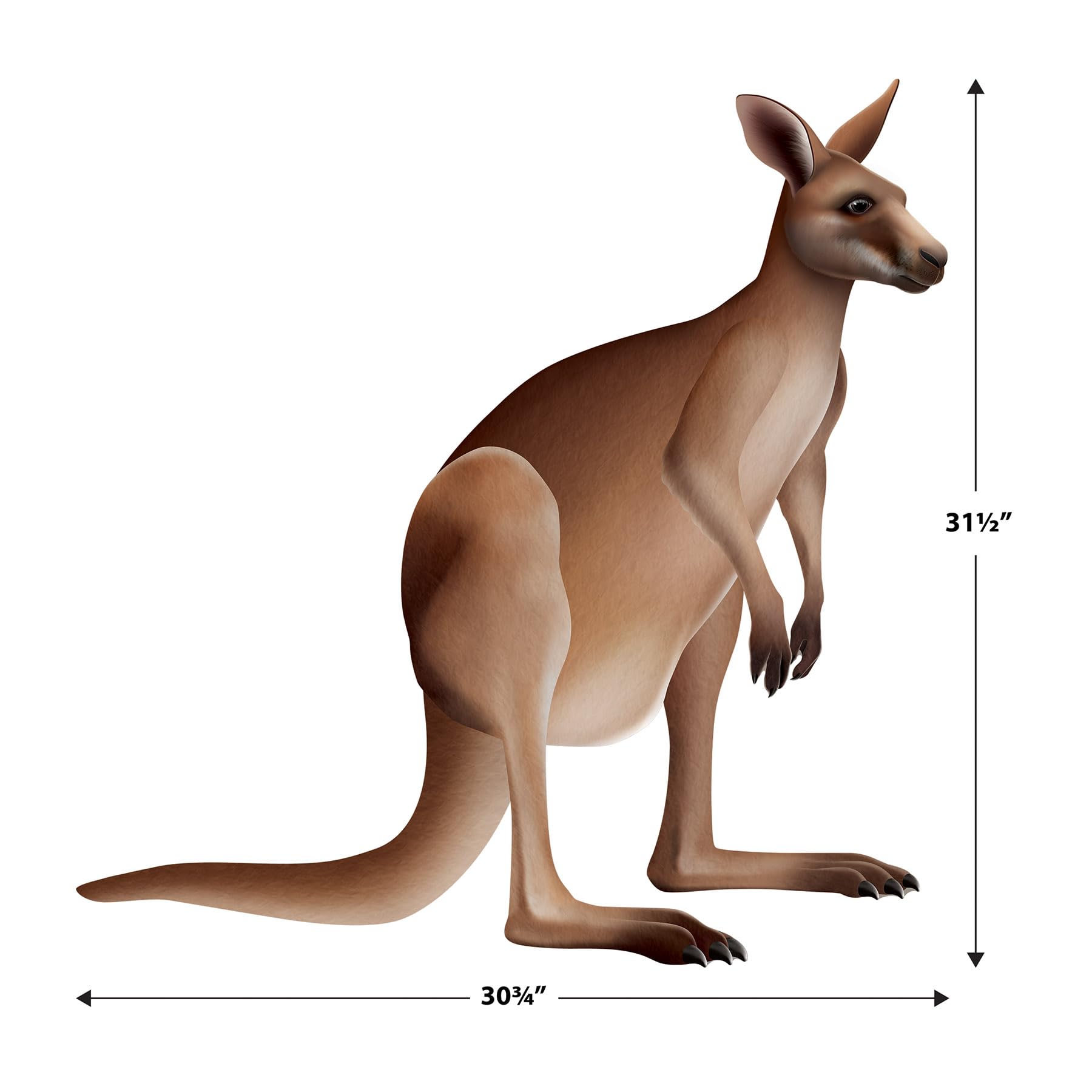 Beistle Jointed Kangaroo Decoration, Australian Outback Party Supplies, Classroom Wall Décor, Vacation Bible School Props, Birthday Party Accent, 31.5" x 30.75"