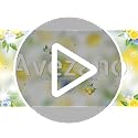 Avezano Lemon Theme Disposable Tablecloths - 3 Pack, 108x54 Inch Table Covers