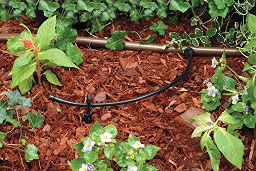 Rain Bird 1/4" Drip Irrigation Blank Distribution Tubing, 250' Roll (4-Pack)
