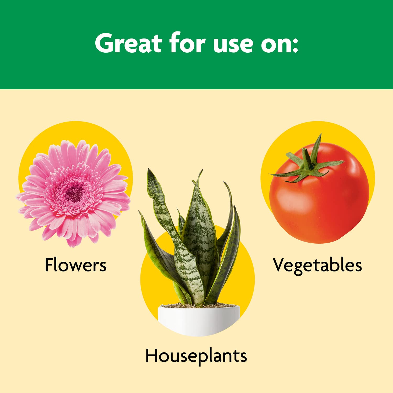 Miracle-Gro Shake 'N Feed All Purpose Plant Food - Nourishes Indoor & Outdoor Plants, 4.5 lbs.
