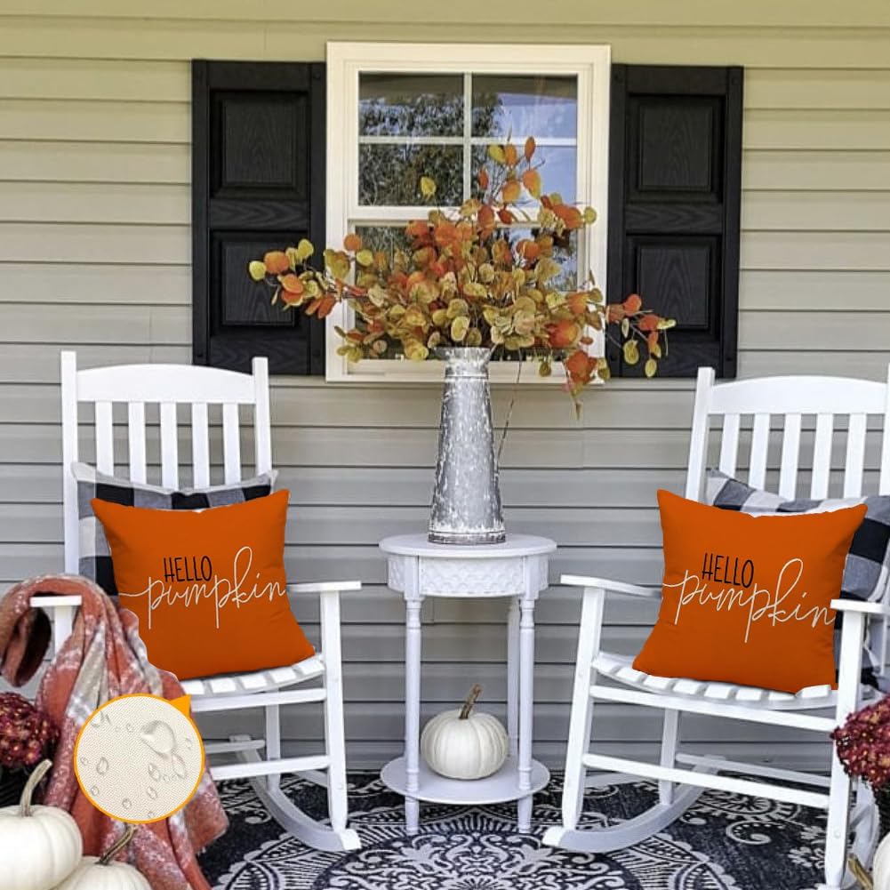 RABUSOFA Fall Pillow Covers - 18x18 Inch Outdoor Waterproof Rust Hello Pumpkin Design | Thanksgiving Decor