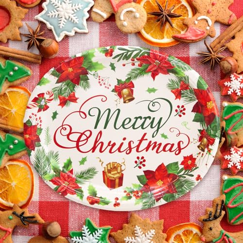 Christmas Paper Plates 24 Pack - Holiday Disposable Serving Plates with Poinsettia Design