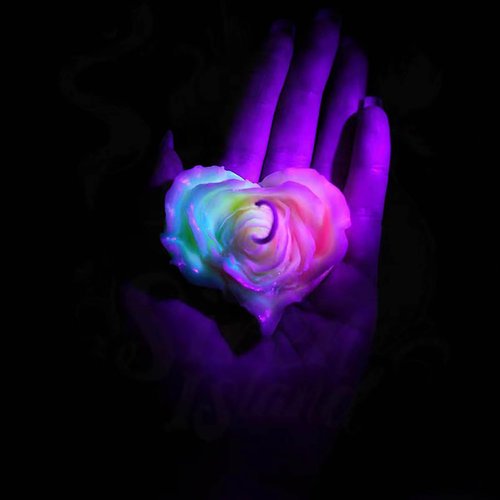Cooary 4 Pcs Low Temperature Candles Glow in The Dark White Peony Flower Shaped White Heart Rose Scented Luminous Low Heat Body Safe Drip Wax Play for Couples