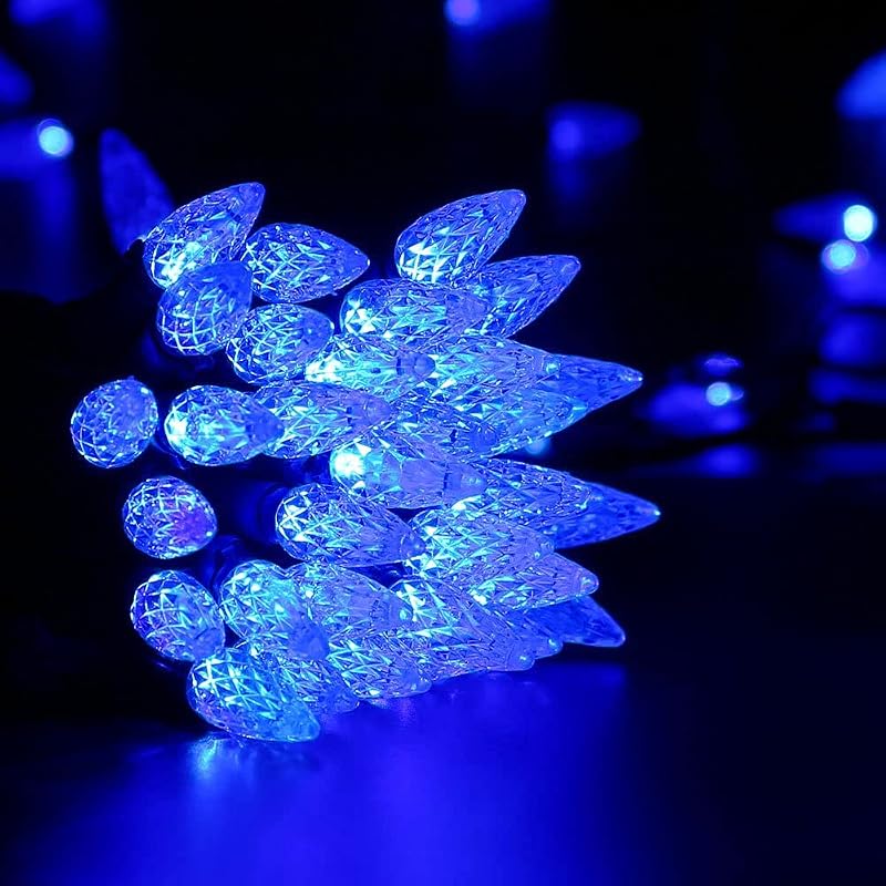 Blue 100 LED Christmas Lights String - 33 ft, Indoor/Outdoor - Brizled C5