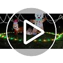 Gingerbread Man Inflatable Yard Decor - Walking Dog with Poop, Christmas LED Outdoor Xmas Holiday