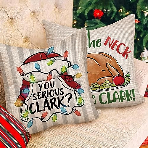 18x18 Inch Christmas Vacation Throw Pillow Cover Set of 4 - Holiday Decor