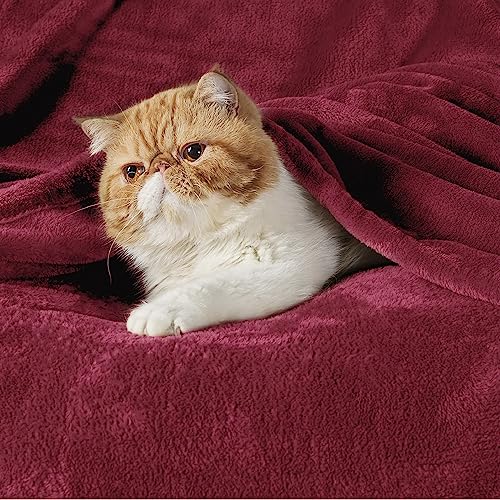 Bedsure GentleSoft Fleece Throw Blanket - Red, 50x60 Inch Plush Bed Blanket