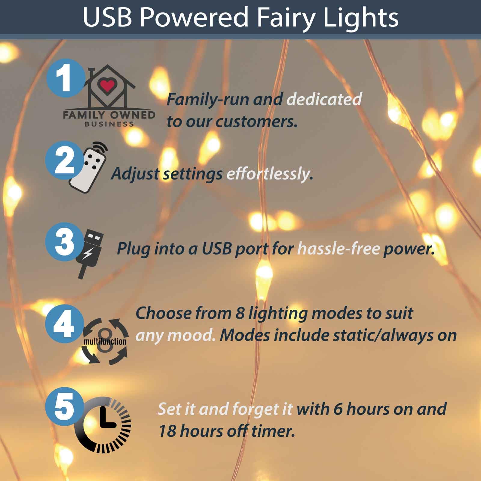 QBIS Warm White Fairy Lights on Copper Wire, 100 Micro LED String Lights with USB Plug, Timer, Multi Function, Adjust Brightness, Pretty Micro LED Christmas Lights
