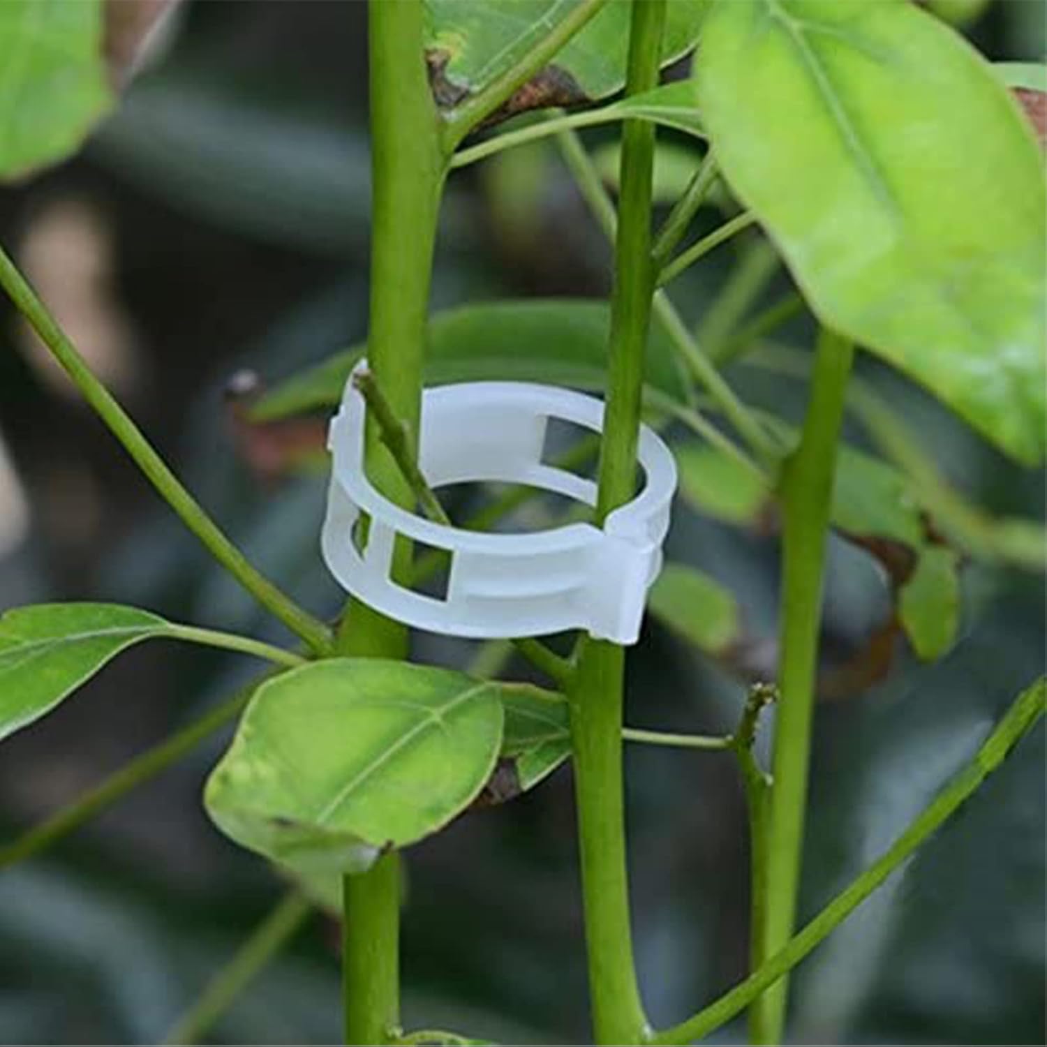 Skiennix Plant Support Clips - 100PCS Garden Clips for Tomatoes, Vines & Trellis - Durable Fastening Tools