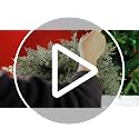 Snowy Christmas Pine Branches & Red Berry Stems - 60 Pcs Artificial Holiday Foliage - Watayo Snow Style