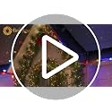 White Magnetic Christmas Light Clips - 50 Pack for C7 C9 String Lights