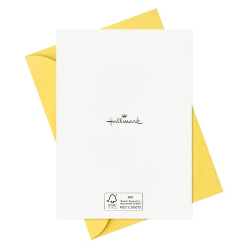 Hallmark Bright and Bold Card Assortment (24 Blank Cards with Envelopes) Pink, Orange, Blue, Gold