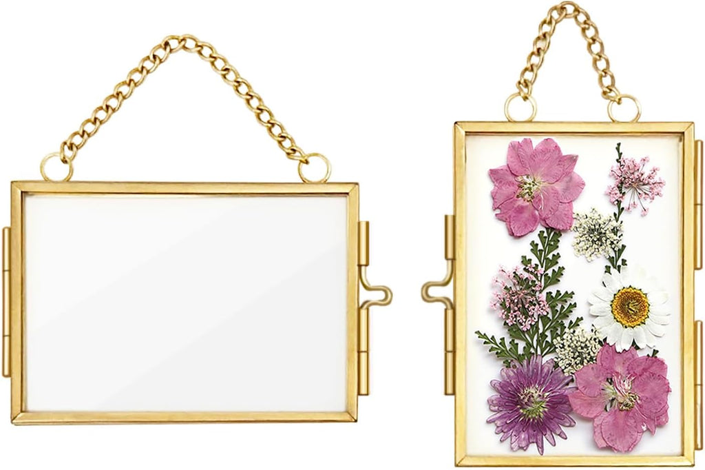Skiennix Double Glass Frame - Mini Brass Wall Hanging Picture Frame for Pressed Flowers | 2x3 Inch, Gold