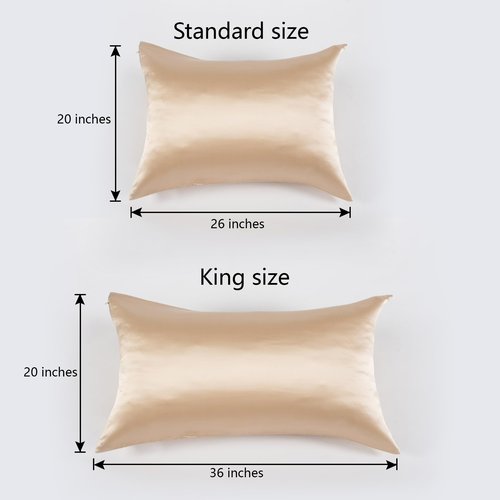 CloudDwelling 100% Pure Mulberry Silk Pillowcase 22 Momme 6A High-Grade Both Sides Soft Breathable Silk Pillow Cover with Hidden Zipper for Hair and Skin Pack of 2 (Champagne, Standard 20x26 Inches)