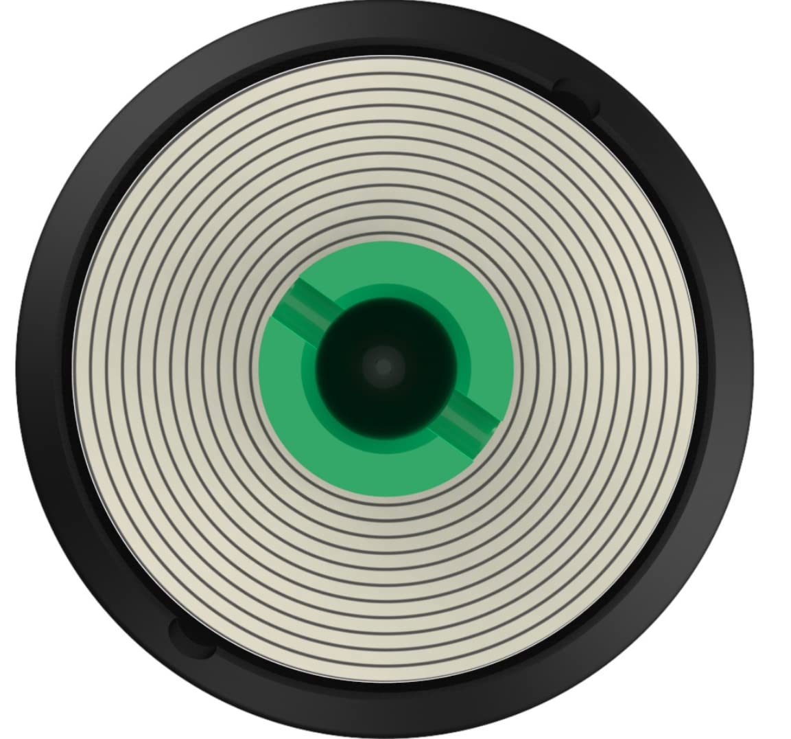 Pentair OMNIFilter OM1 Reverse Osmosis Membrane, Replacement Membrane For Use with OMNIFilter RO2050 Premium Reverse Osmosis Water Filter System, 15 GPD Flow Rate