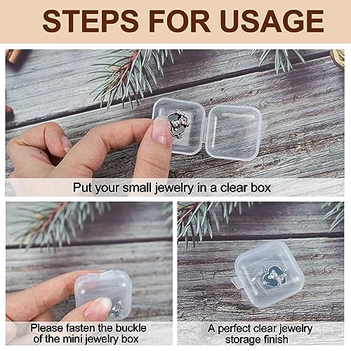 80PCS Mini Clear Plastic Jewelry Boxes, Small Hinged Storage Containers