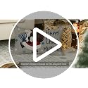 Happy Chrismukkah Gnomes Hanukkah Throw Pillow Cover 12x20 Inch Sofa Decor