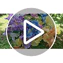 Artificial Silk Iris Flowers - 5Pcs Long Stem Faux Flowers for Decor