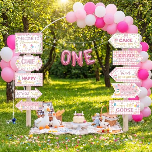 Skylety 20 Pcs One Silly Goose Birthday Party Direction Signs
