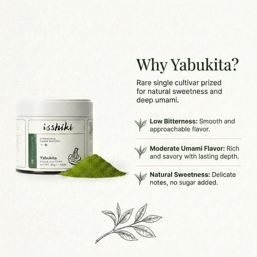 Isshiki Matcha Powder - Premium Ceremonial Grade Yabukita Green Tea from Kyoto - Authentic Japanese Matcha - 30G | 20 Servings