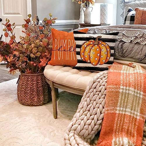 Orange Pumpkin Fall Throw Pillow Covers Set of 2 18x18 - PANDICORN Farmhouse Decor