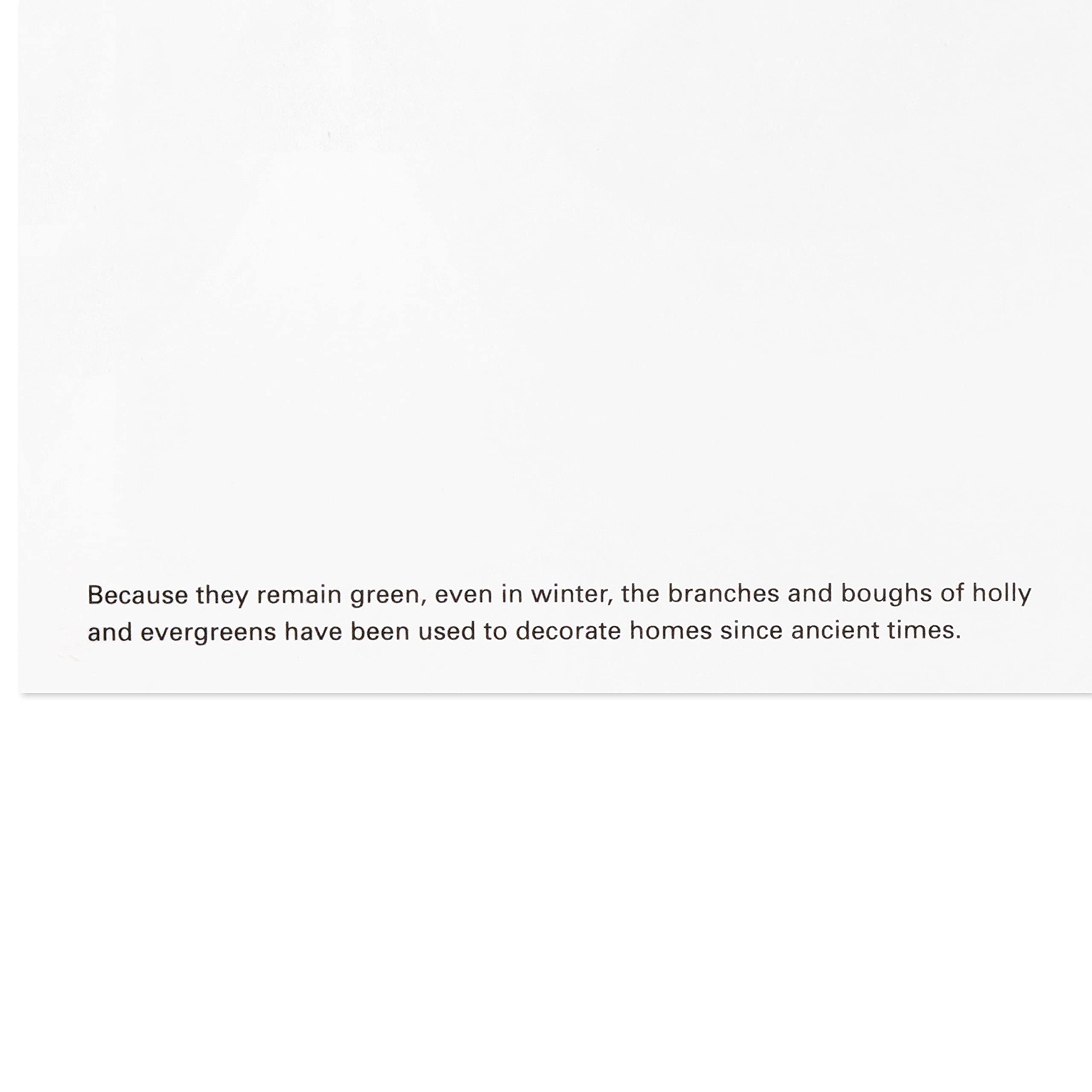 Hallmark UNICEF Boxed Christmas Cards Assortment, Wonder and Peace (12 Cards and 13 Envelopes)