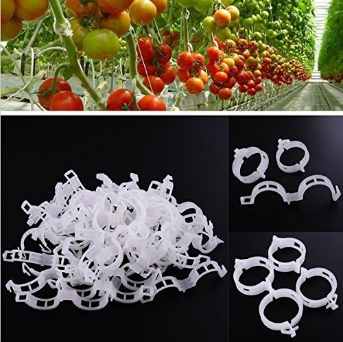 KINGLAKE Plant Support Clips - 200 Pcs Tomato Vine & Trellis Clips for Healthier Upright Growth