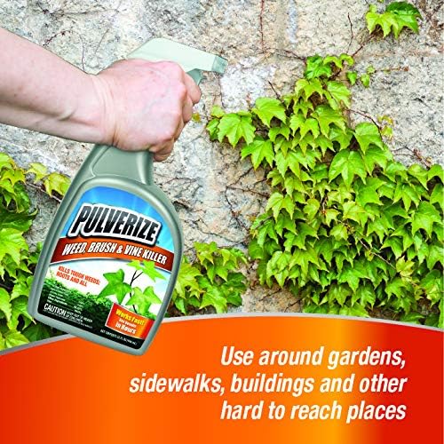 Regine Switzerland Weed Brush & Vine Killer - Fast Acting, Non-Staining Herbicide, 32 oz.