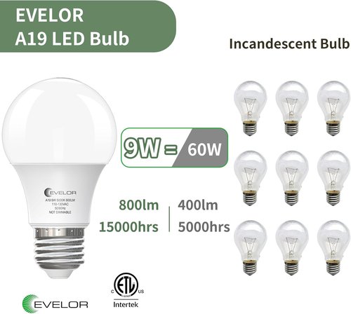 Evelor A19 LED Light Bulbs - 6-Pack Daylight 5000K, 60W Equivalent, 800 Lumens, E26 Base, 15,000 Hours