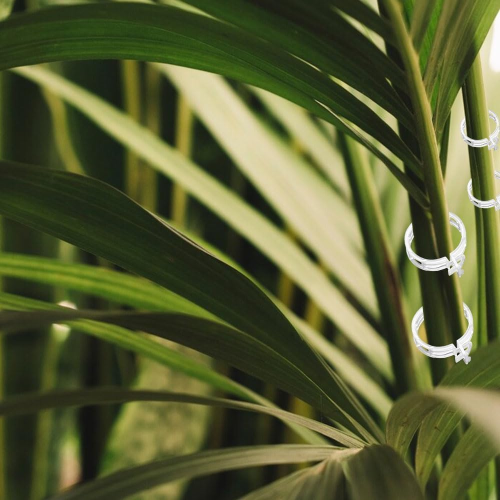 Skiennix Plant Support Clips - Reusable Green Clips for Tomato & Climbing Plants | 50 Pack